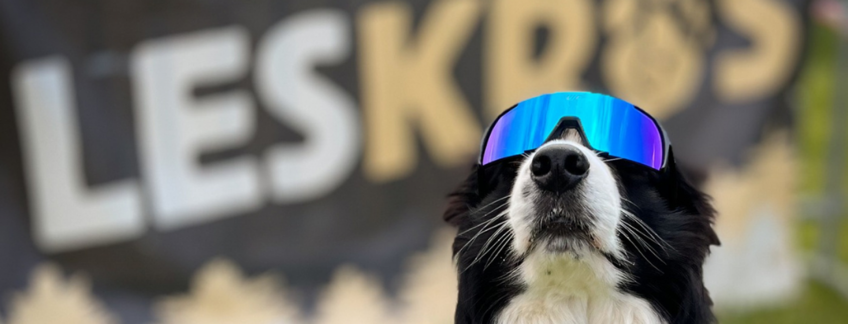 Když se z jedné běžecké náhody stane nový životní styl